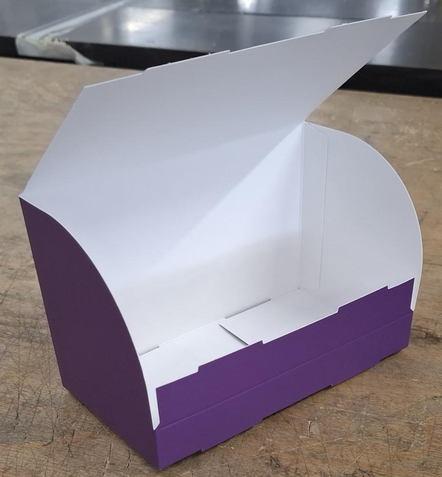 NG PRECISION+ PLV - PRESENTOIR